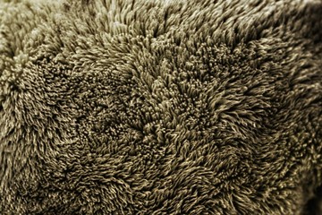 Fur texture background