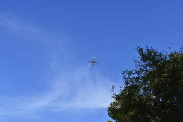 Airplane in the blue sky and cloud.The passenger plane on a background of the dark blue sky.