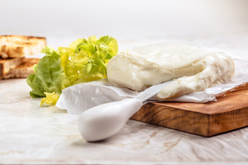 Italian spreadable cheese called stracchino served with slices of toasted bread 