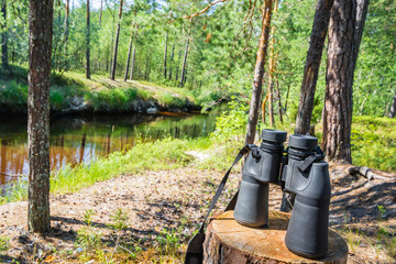 Field binoculars on stump in forest on sunny day.