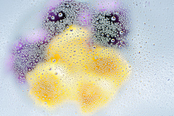 ガラスに付いた水滴 背景黄色と紫の花