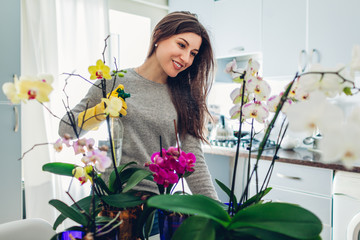 Woman spraying water on orchids on kitchen. Housewife taking care of home plants and flowers