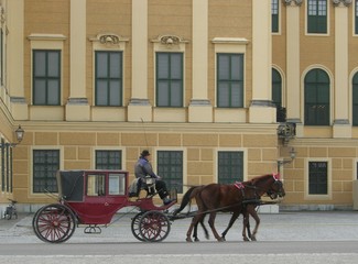 mit dem Fiaker durch Wien