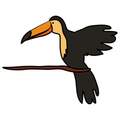 toucan exotic bird icon