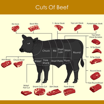 easy to edit vector illustration of different cuts of Beef
