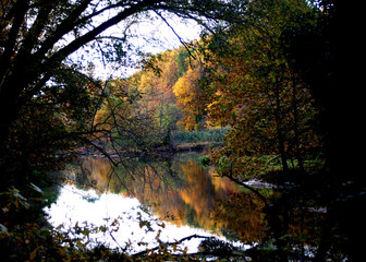 autumn reflection in the lake