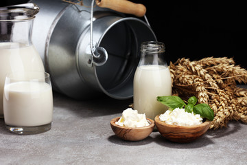 milk products. tasty healthy dairy products on a table. sour cream in a white bowl, cottage cheese bowl, cream in a a bank and milk jar, glass bottle and in a glass