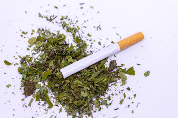 Marijuana leaves, Powder of Cannabis (Drugs) on a White background, For Analysis in laboratory.