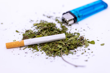 Marijuana leaves, Powder of Cannabis (Drugs) on a White background, For Analysis in laboratory.