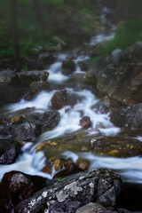 Fototapeta na wymiar A foggy day in a mountain with a small river. Vertical view