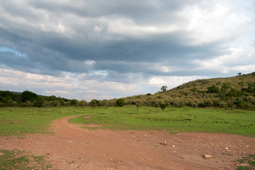 Fototapeta na wymiar Beautiful view of road in savannah on sunny day in Africa