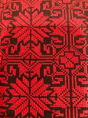 Traditional Palestinian embroidery design Middle East