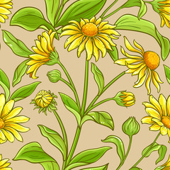 arnica vector pattern