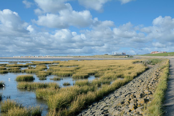 Norddeich Photos Royalty Free Images Graphics Vectors Videos