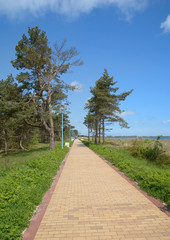 Promenadenweg an der Ostsee am Strand von Juliusruh,Insel Rügen,Mecklenburg-Vorpommern,Deutschland