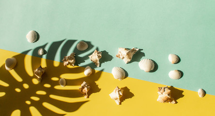 Composition of exotic sea shells on a blue background. Summer concept. Flat Lay. Top View