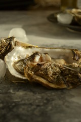 oyster in the shell on the background 