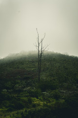 Obraz premium South Africa