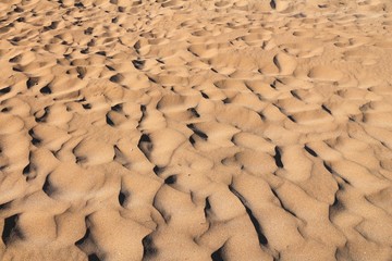 Wind sculpted sand