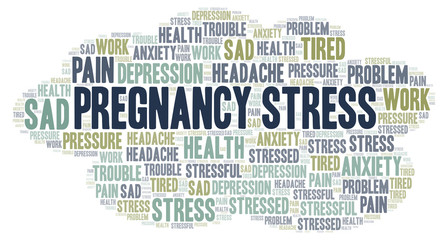 Pregnancy Stress word cloud.