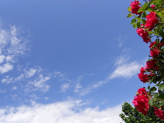 природа, пейзаж