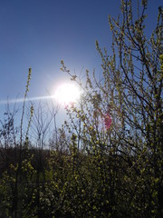 природа, пейзаж