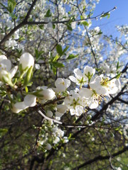 природа, пейзаж