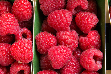 Himbeeren