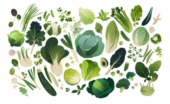 Vegetables and herbs background isolated on white, leafy greens template background