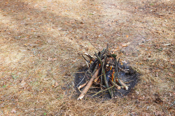 Bonfire in the spring forest on the background of withered grass.
