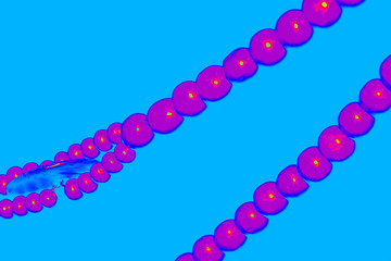 abstract colored background of beads
