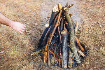 A man fries champignons on a grass background on a campfire in the spring forest.