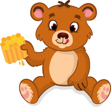 Vector illustration of a cute bear holding a honeycomb.