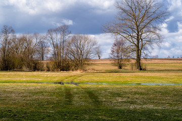 Obraz premium Narwiański Park Narodowy. Rzeka Narew. Wiosna na Podlasiu