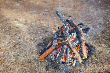 Bonfire in the spring forest on the background of withered grass.