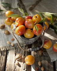 Apricots or nectarines in an old wooden bucket. Summer mood