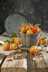 Fototapeta na wymiar Apricots or nectarines in an old wooden bucket