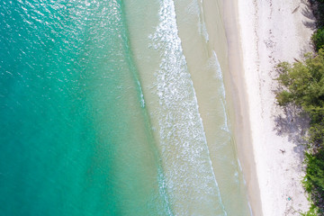 Tropical island with green tree forest white snad beach