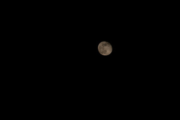 Mond