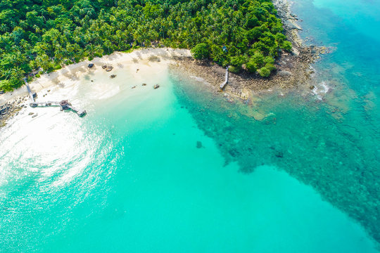 Tropical island with green tree forest white snad beach