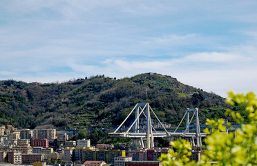 Il lato est del ponte Morandi con fiori gialli primaverili. 