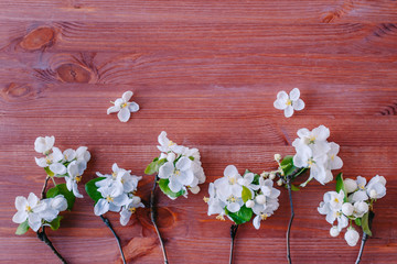 Flat lay composition with spring white flowers on a wooden background