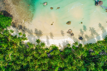 Aerial view sea island beach green coconut tree