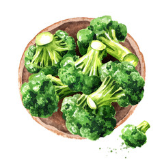 Fresh broccoli blocks top view. Hand drawn watercolor illustration, isolated on white background