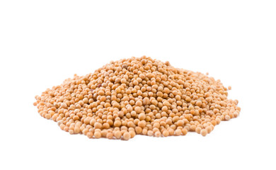 white mustard heap isolated on white background. front view