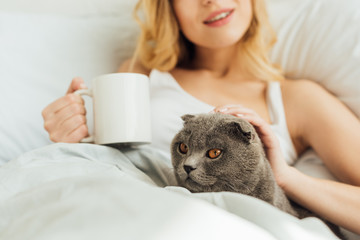 cropped view of young woman with cup of coffee lying in bed and stroking scottish fold cat