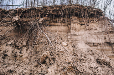 Layers of clay and sand underground. The roots of the trees are underground. Soil with clay and...