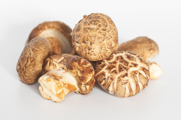 Shiitake mushroom on white background.