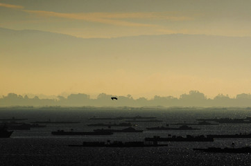 atardecer entre bateas