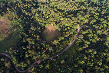 Mountain green forest autumn season aerial view